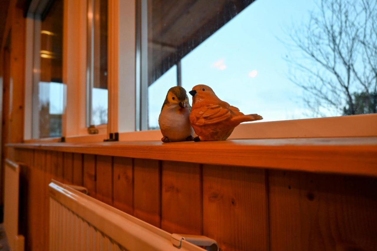 Thingvellir Cabin/Chalet Селфосс Экстерьер фото